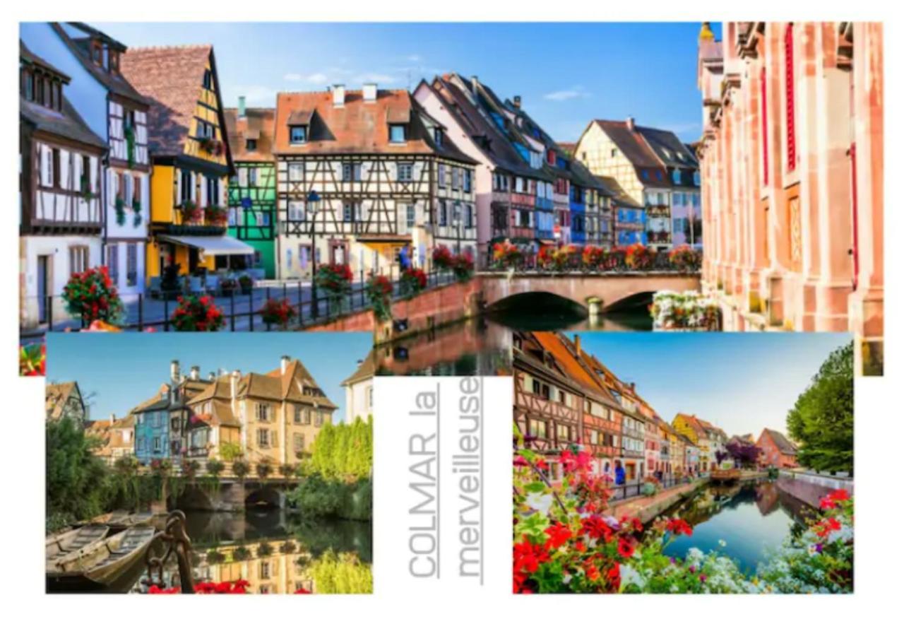 Cosis Colmar - 2 Chambres - 4 Pers - Duplex - Parking - Wifi Buitenkant foto